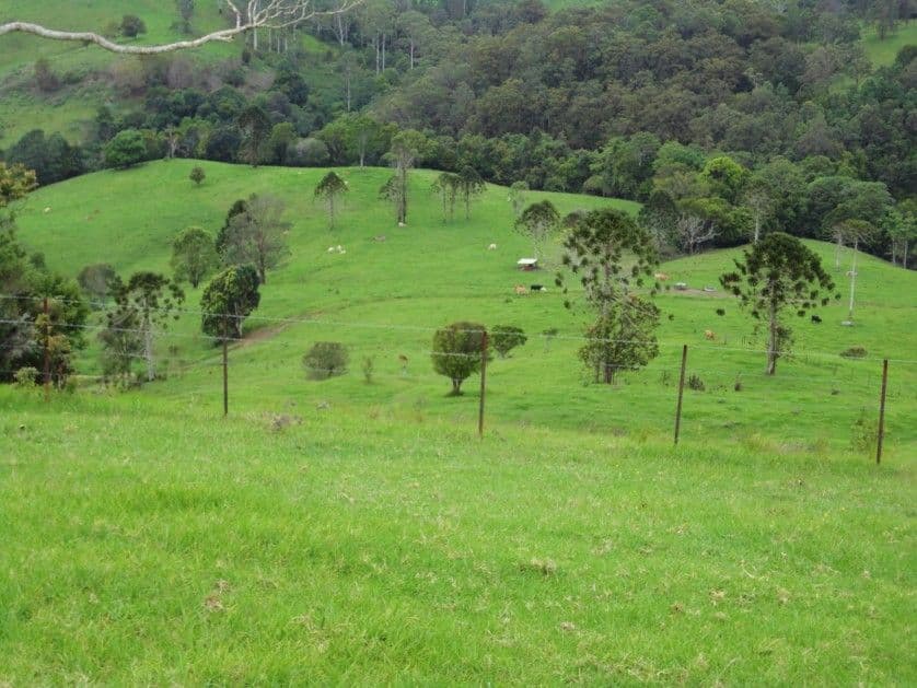 MALENY QLD 4552, Maleny - Thumbnail 3
