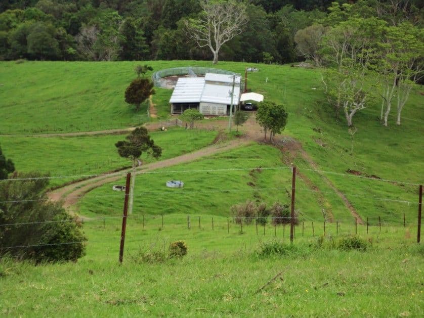 MALENY QLD 4552, Maleny - Thumbnail 2