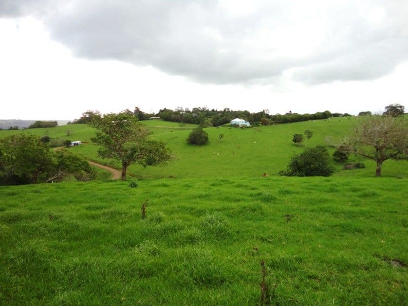 MALENY QLD 4552, Maleny - Thumbnail 5