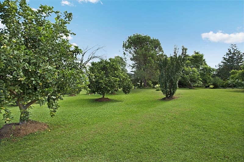 1316 Paterson Road, DUNS CREEK NSW 2321, Duns Creek - Thumbnail 8
