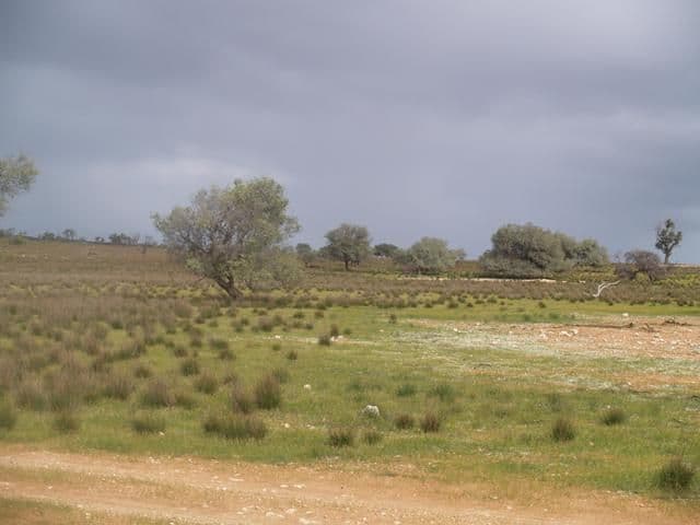 71 and 72 Murraylands Road, BLANCHETOWN SA 5357, Blanchetown - Thumbnail 3