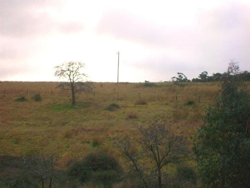 CA 8 Cellante Road, BERRINGA  Victoria  3351, Australia, Berringa - Image 1