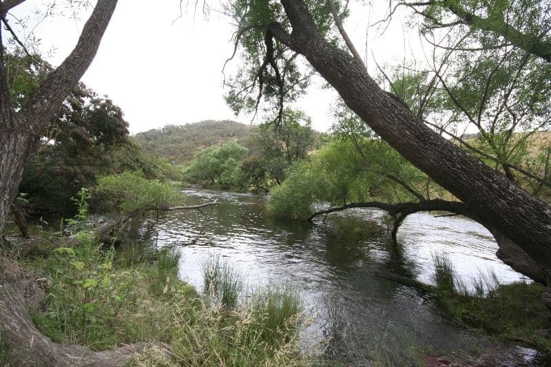 136 Arties Road, OBERON NSW 2787, Oberon - Image 1