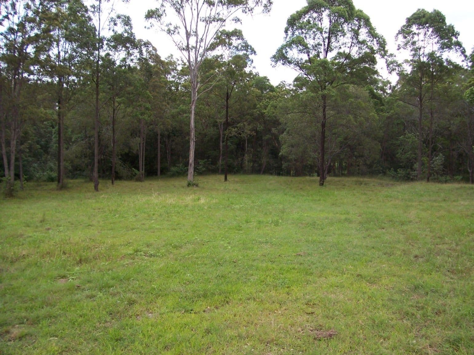 TAMAREE QLD 4570, Tamaree - Thumbnail 4