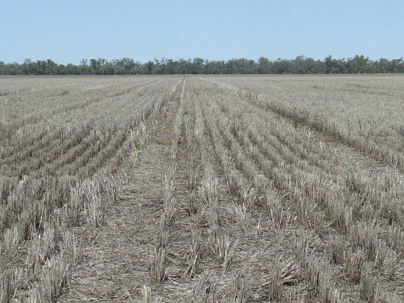 BOGGABILLA NSW 2409, Boggabilla - Thumbnail 4