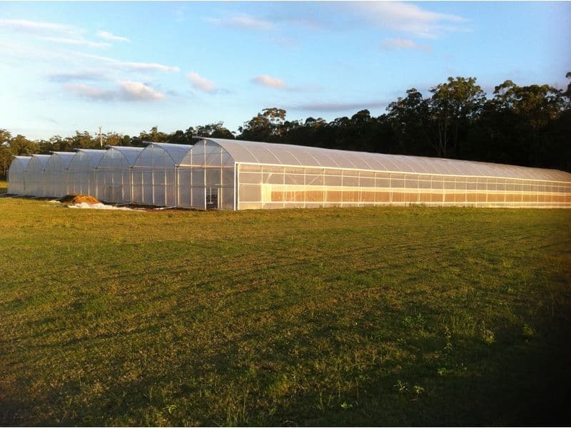 WOODFORD QLD 4514, Woodford - Image 1