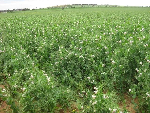 "Ashby's" Bumbunga via, SNOWTOWN SA 5520, Snowtown - Image 1