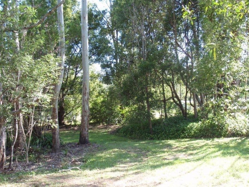 PINBARREN QLD 4568, Pinbarren - Thumbnail 6