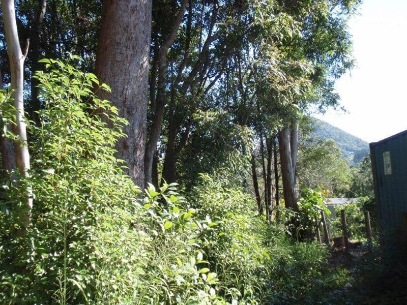 PINBARREN QLD 4568, Pinbarren - Thumbnail 5
