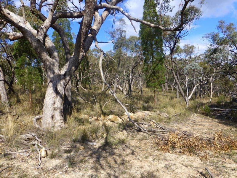 BATHURST NSW 2795, Bathurst - Thumbnail 8