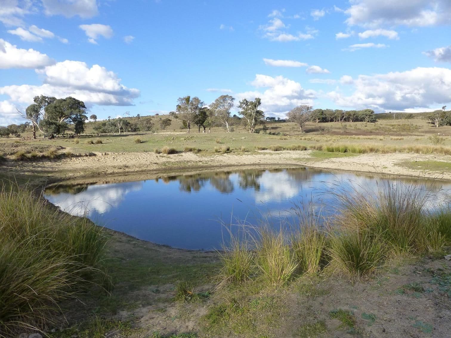 249 Beragoon Lane, TAYLORS FLAT NSW 2586, Taylors Flat - Image 1