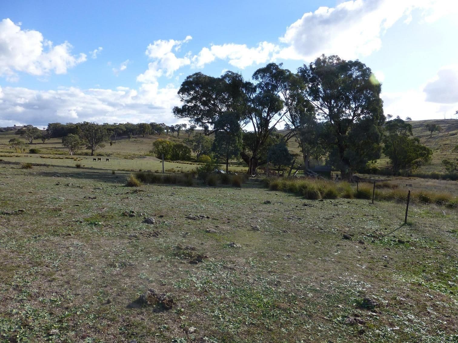249 Beragoon Lane, TAYLORS FLAT NSW 2586, Taylors Flat - Thumbnail 6