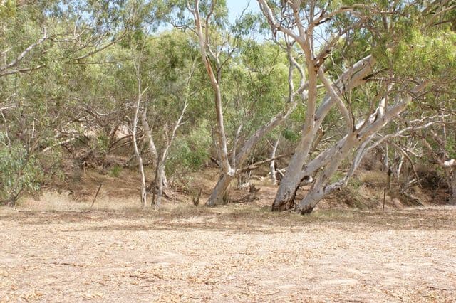 30269 Brand Highway, DONGARA WA 6525, Dongara - Thumbnail 8