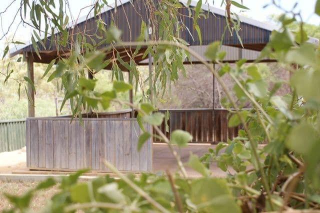 30269 Brand Highway, DONGARA WA 6525, Dongara - Thumbnail 3