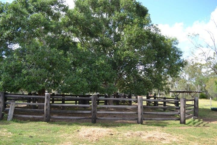 66 Blackgate Road, WOODERSON QLD 4680, Wooderson - Thumbnail 4