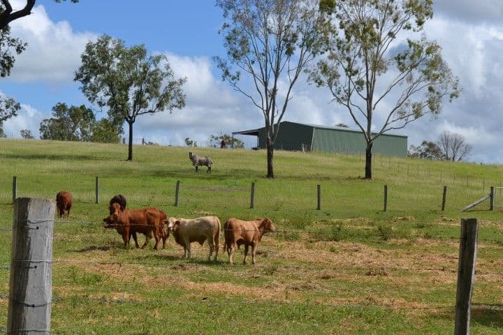 66 Blackgate Road, WOODERSON QLD 4680, Wooderson - Thumbnail 2