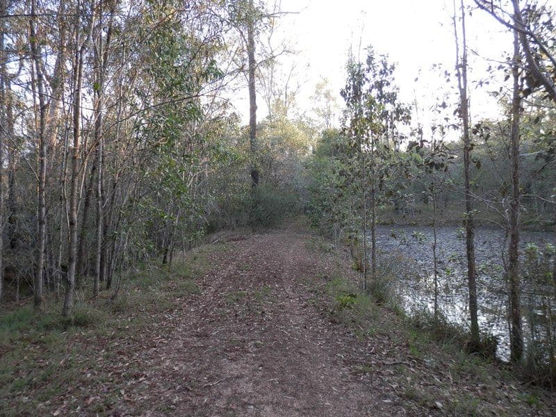 Lot 248 James Road, PINE MOUNTAIN QLD 4306, Pine Mountain - Thumbnail 3