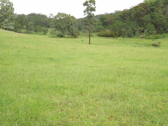 Lot 4 Commission Road, HOWES VALLEY NSW 2330, Howes Valley - Thumbnail 7