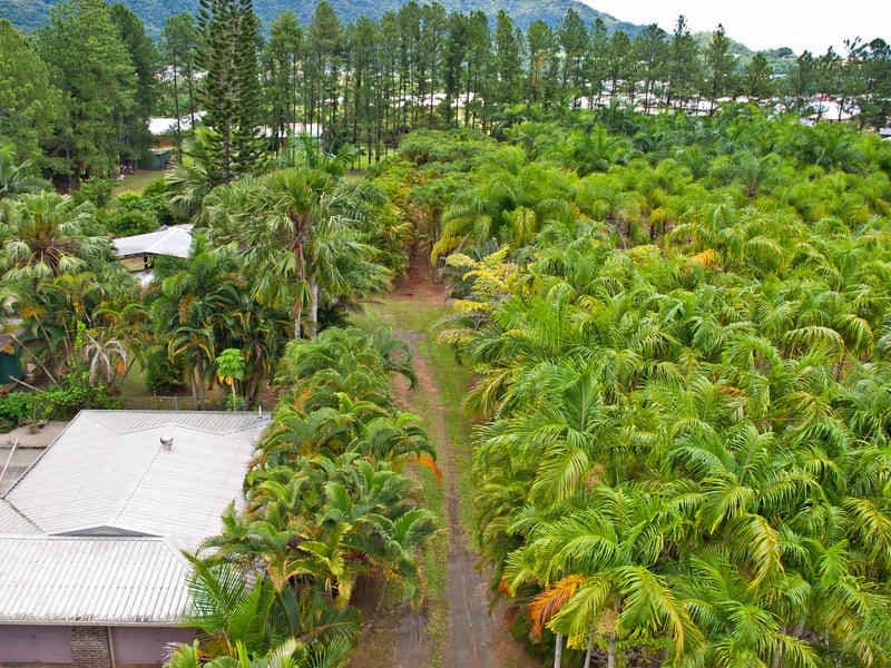 Lot 1 Mill Road, EDMONTON QLD 4869, Edmonton - Image 1