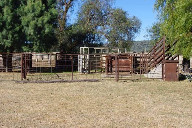 1892 Allan Cunningham Road, INVERELL NSW 2360, Inverell - Thumbnail 8
