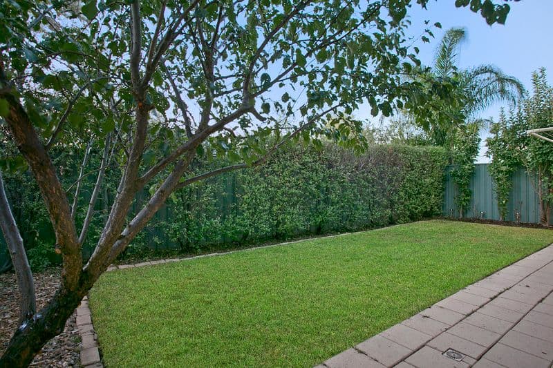 6 Elmwood Court, MAWSON LAKES SA 5095, Mawson Lakes - Thumbnail 2