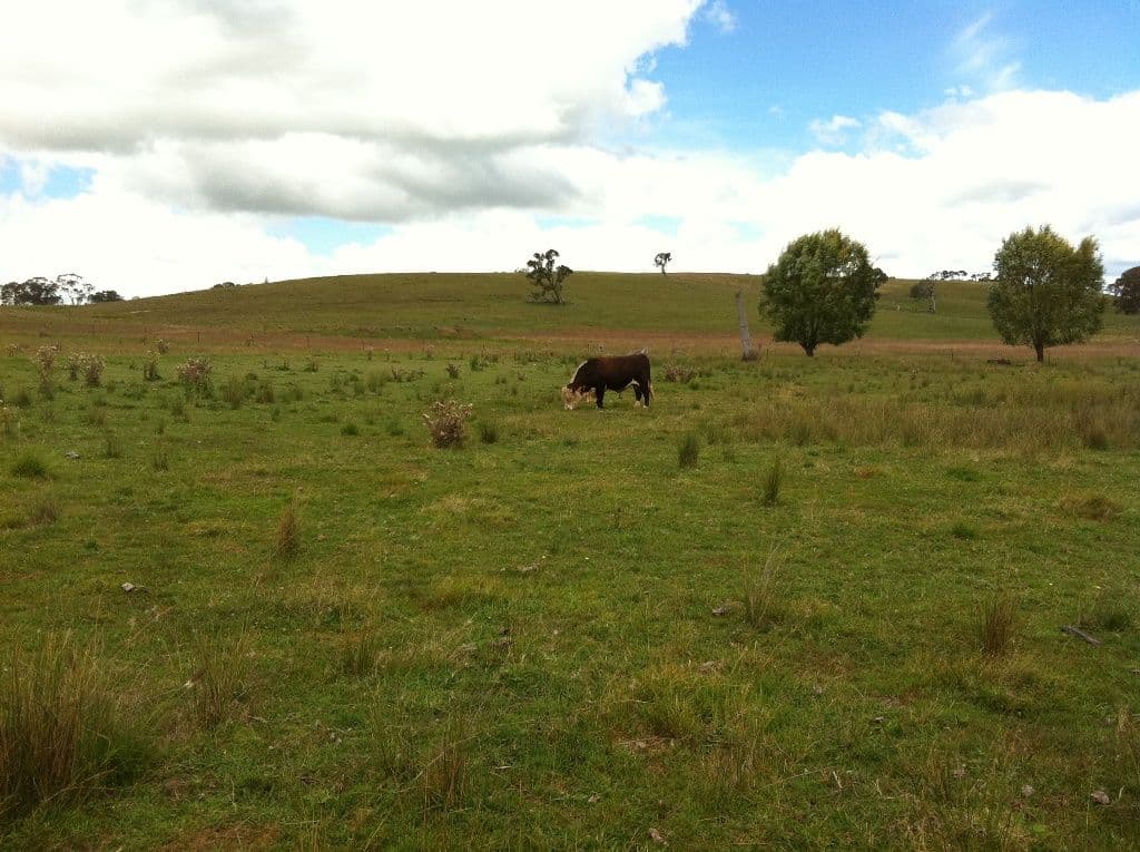 URALLA NSW 2358, Uralla - Thumbnail 8