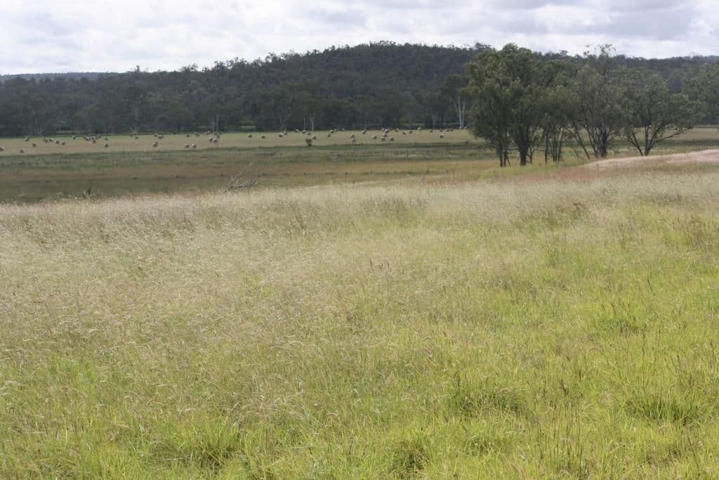 MUNDUBBERA QLD 4626, Mundubbera - Thumbnail 5