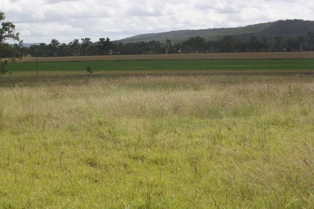 MUNDUBBERA QLD 4626, Mundubbera - Thumbnail 4