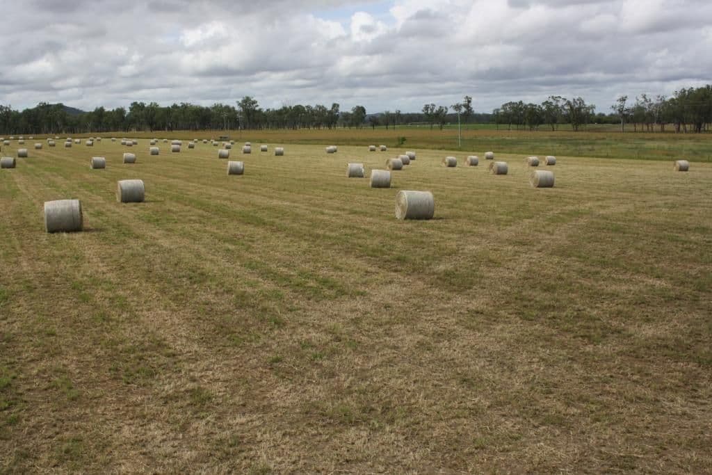 MUNDUBBERA QLD 4626, Mundubbera - Thumbnail 2