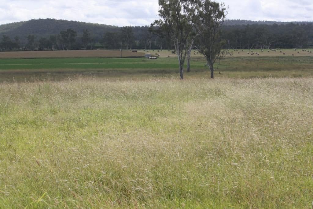 MUNDUBBERA QLD 4626, Mundubbera - Thumbnail 7