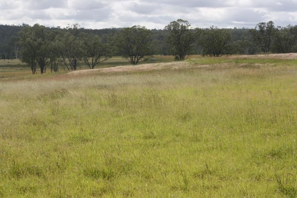 MUNDUBBERA QLD 4626, Mundubbera - Thumbnail 6
