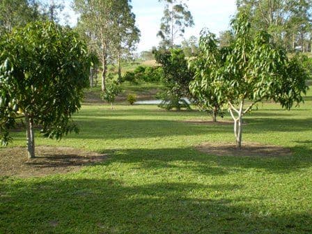 104 Gilgai Road, GIN GIN QLD 4671, Gin Gin - Thumbnail 7