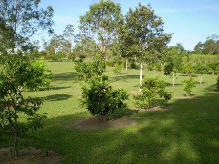 104 Gilgai Road, GIN GIN QLD 4671, Gin Gin - Thumbnail 4