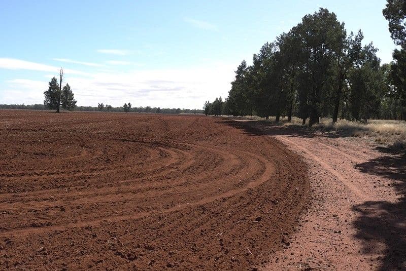 "IONA" Sandy Creek Road, BARELLAN NSW 2665, Barellan - Image 1