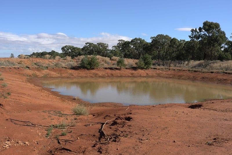 "IONA" Sandy Creek Road, BARELLAN NSW 2665, Barellan - Thumbnail 3