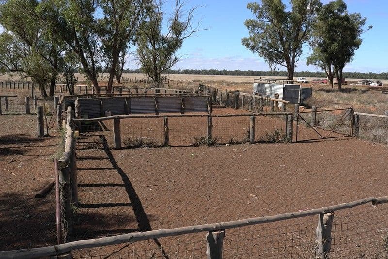 "IONA" Sandy Creek Road, BARELLAN NSW 2665, Barellan - Thumbnail 5