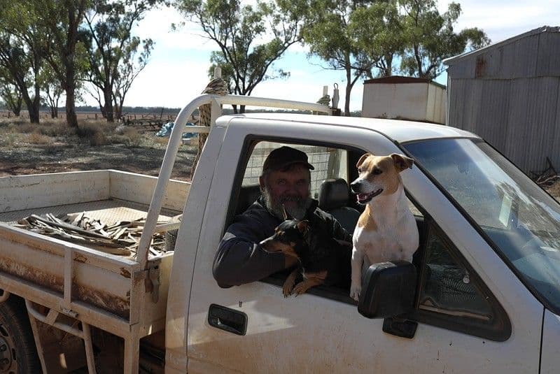 "IONA" Sandy Creek Road, BARELLAN NSW 2665, Barellan - Thumbnail 2