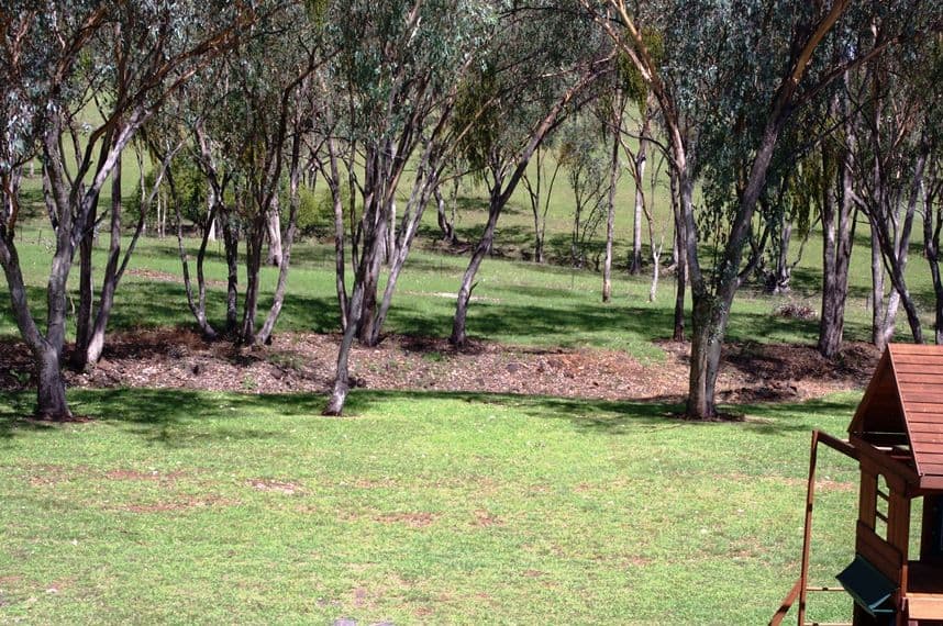 36 Caloola Drive, INVERELL NSW 2360, Inverell - Image 1