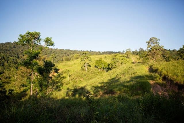 596 Gorge Road, FINCH HATTON QLD 4756, Finch Hatton - Thumbnail 6