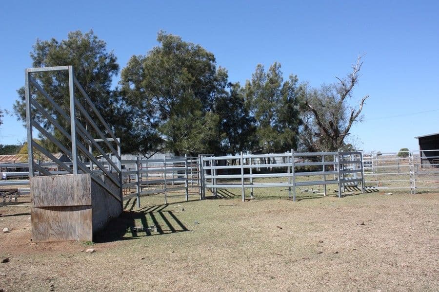 0 Jondaryn-Evanslea Road, JONDARYAN QLD 4403, Jondaryan - Thumbnail 8