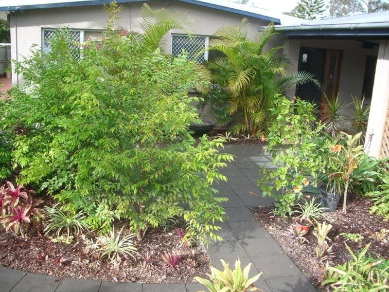 54 Dobell Street, INDOOROOPILLY QLD 4068, Indooroopilly - Thumbnail 2