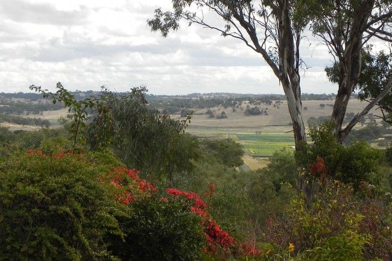 316 Fowler Road, PITTSWORTH QLD 4356, Pittsworth - Thumbnail 2