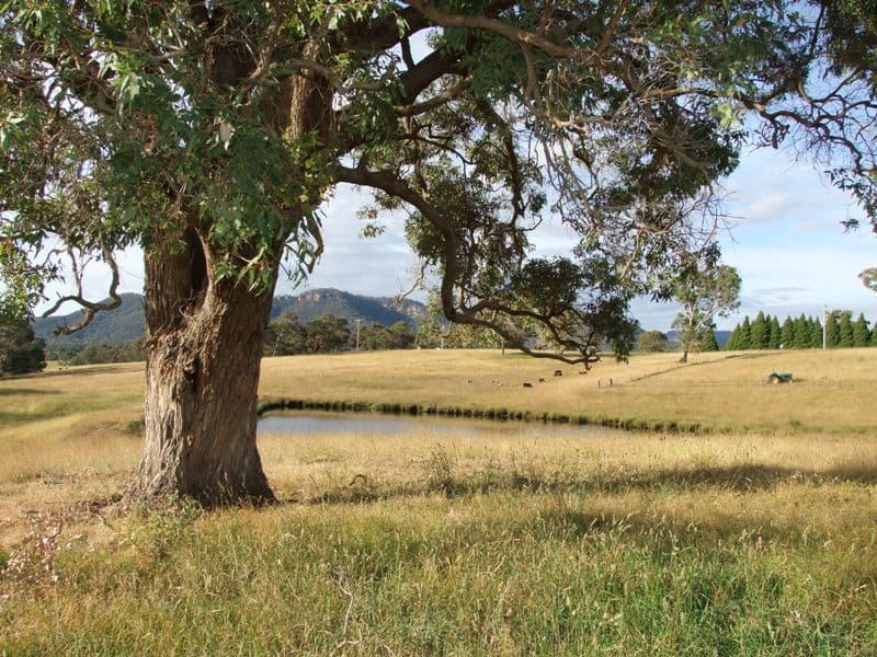 519 Cox's River Road, HARTLEY NSW 2790, Hartley - Image 1