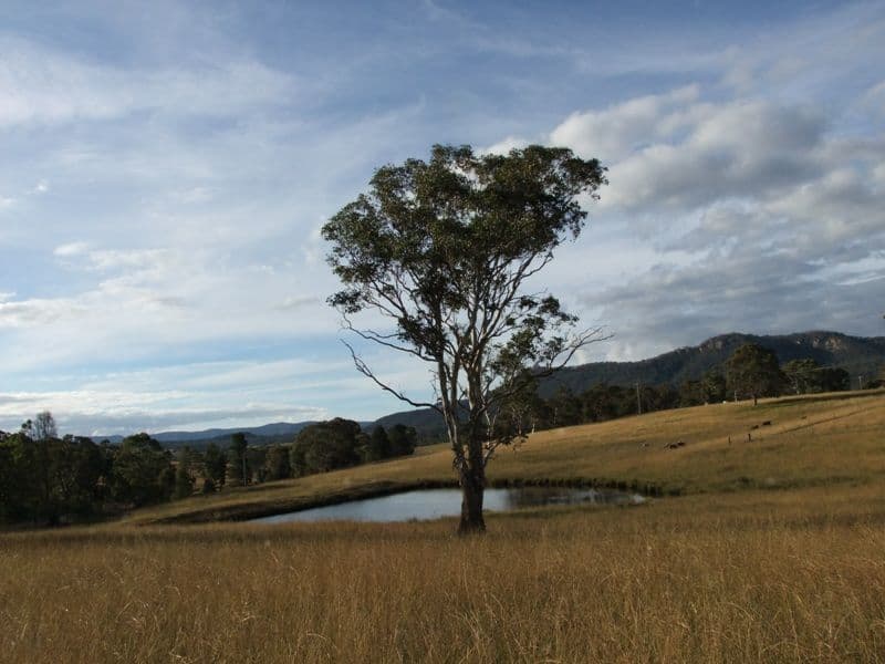 519 Cox's River Road, HARTLEY NSW 2790, Hartley - Thumbnail 8