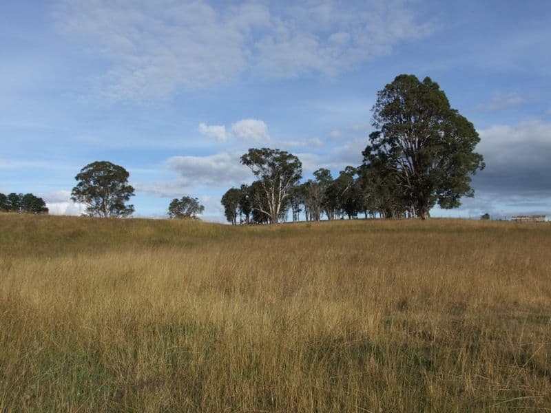 519 Cox's River Road, HARTLEY NSW 2790, Hartley - Thumbnail 3