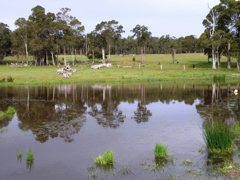 NANNUP WA 6275, Nannup - Thumbnail 4
