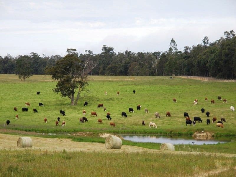 NANNUP WA 6275, Nannup - Thumbnail 3