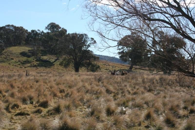 6 Callemondah Road, SHANNONS FLAT NSW 2630, Shannons Flat - Thumbnail 3