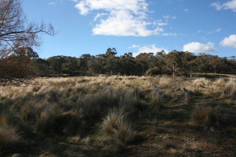 6 Callemondah Road, SHANNONS FLAT NSW 2630, Shannons Flat - Thumbnail 4
