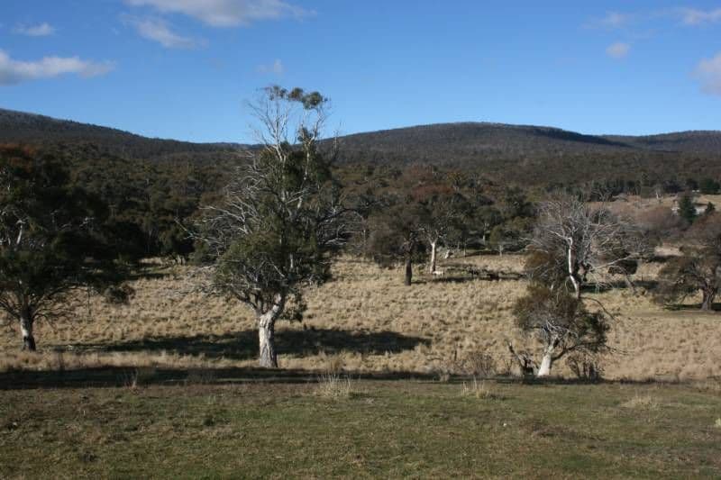 Lot 3 Callemondah Road, SHANNONS FLAT NSW 2630, Shannons Flat - Image 1